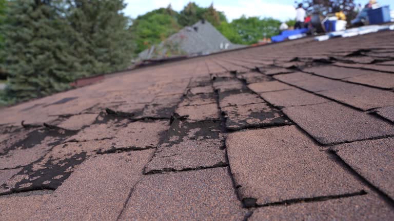 Best Storm Damage Roof Repair  in Village Green, NY