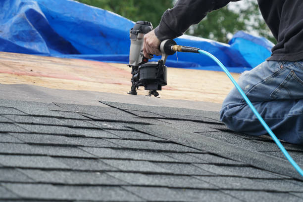 Best Roof Moss and Algae Removal  in Village Green, NY